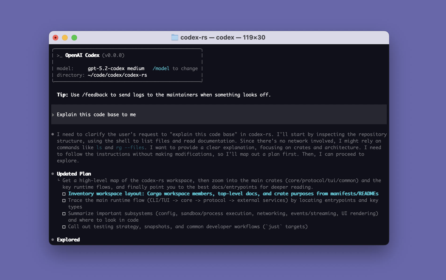 Codex CLI splash